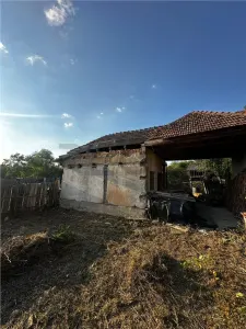 Casă 2 camere Tinca - poza 10