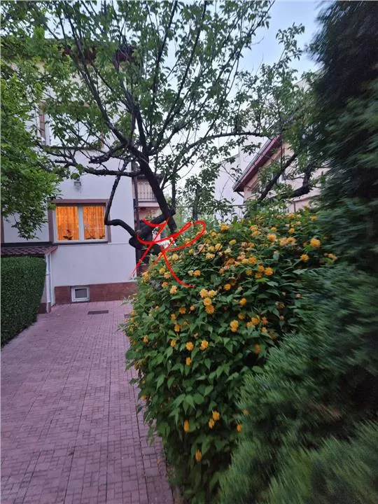 Teren București - poza 1