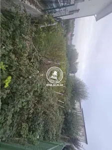 Teren Iași - poza 2