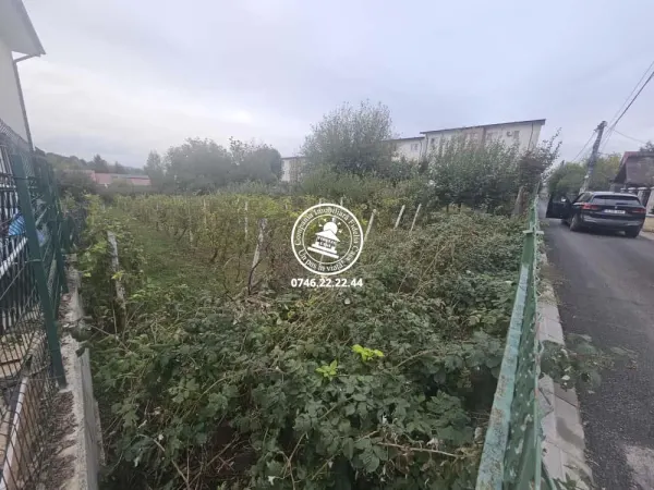 Teren Iași - poza 3