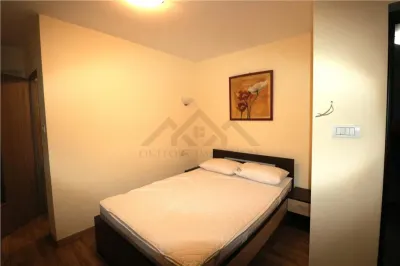 Casă 1 camera Timișoara - poza 2