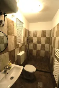 Casă 1 camera Timișoara - poza 5