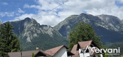 Teren Bușteni - poza 3