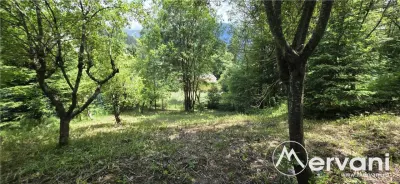 Teren Sinaia - poza 2