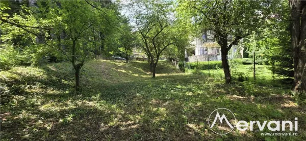 Teren Sinaia - poza 3