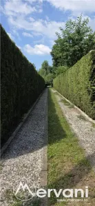 Casă 10 camere Breaza - poza 55