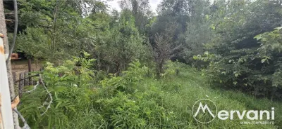 Teren Telega - poza 11