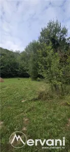 Teren Telega - poza 6