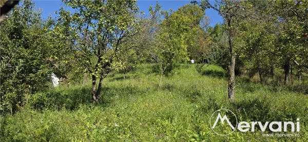 Casă 9 camere Breaza - poza 2