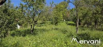 Casă 9 camere Breaza - poza 2