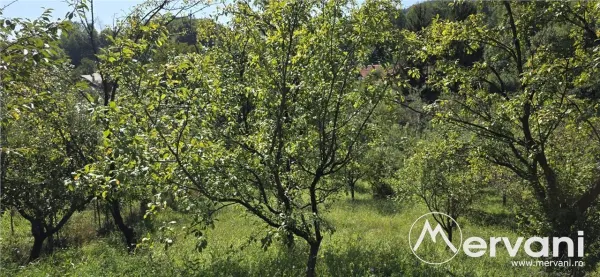 Casă 9 camere Breaza - poza 3