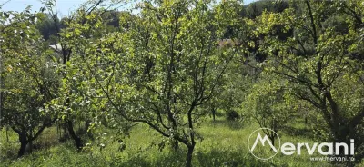 Casă 9 camere Breaza - poza 3