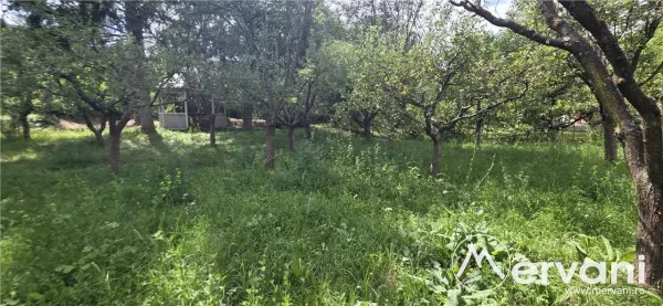 Casă 9 camere Breaza - poza 4