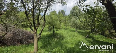 Casă 9 camere Breaza - poza 55
