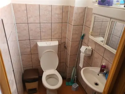 Casă 6 camere Sibiu - poza 14
