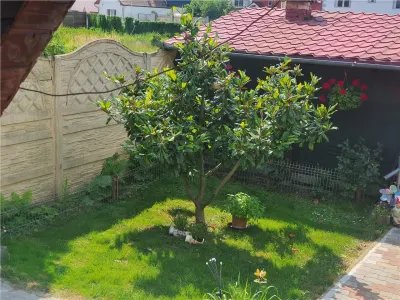 Casă 6 camere Sibiu - poza 4
