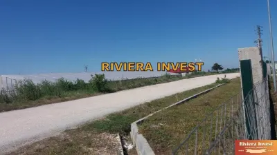 Teren Ovidiu - poza 10