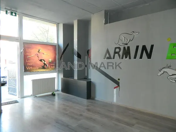 Spațiu comercial Timișoara - poza 1