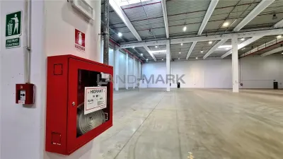 Spațiu industrial Timișoara - poza 6