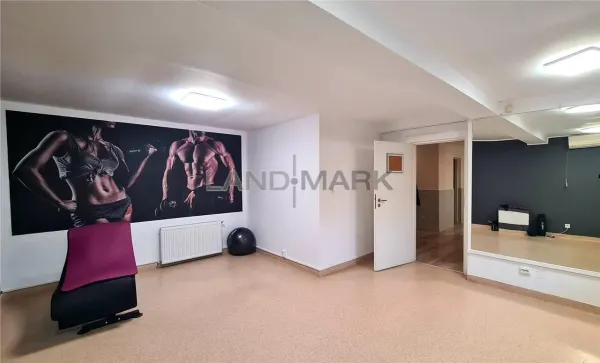 Spațiu comercial Timișoara - poza 5
