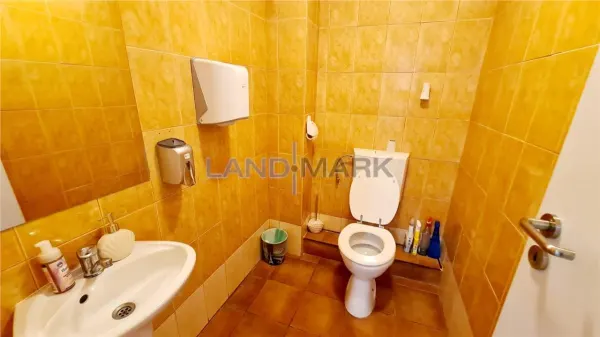Spațiu comercial Timișoara - poza 10