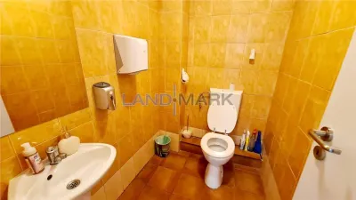Spațiu comercial Timișoara - poza 10
