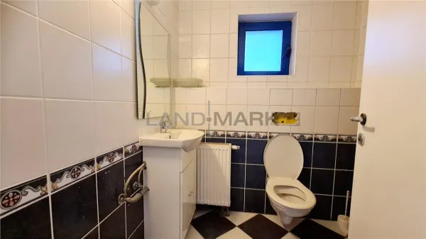 Spațiu comercial Timișoara - poza 11
