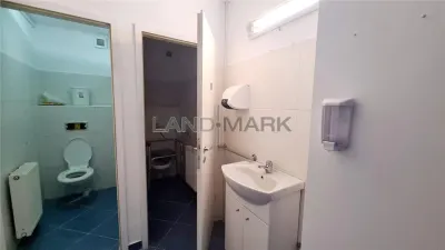 Spațiu comercial Timișoara - poza 12