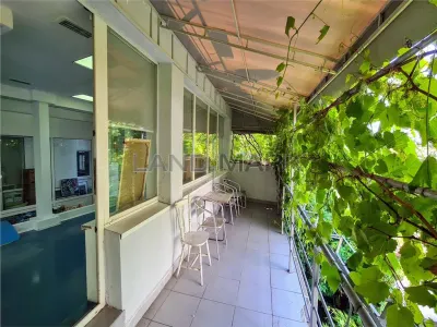 Spațiu comercial Timișoara - poza 7