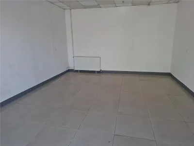 Spațiu industrial Afumați - poza 2