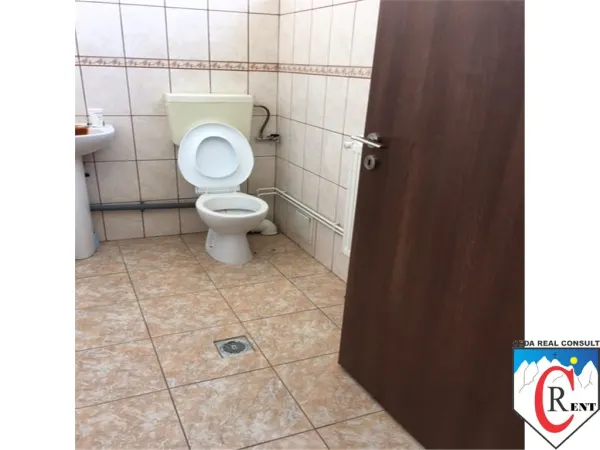 Spațiu industrial București - poza 6