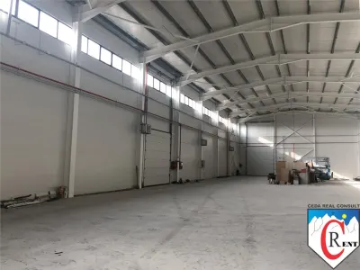 Spațiu industrial Chitila - poza 4