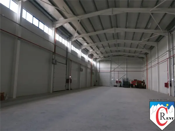 Spațiu industrial Chitila - poza 5