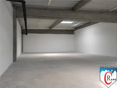 Spațiu industrial Afumați - poza 3