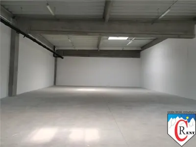 Spațiu industrial Afumați - poza 4