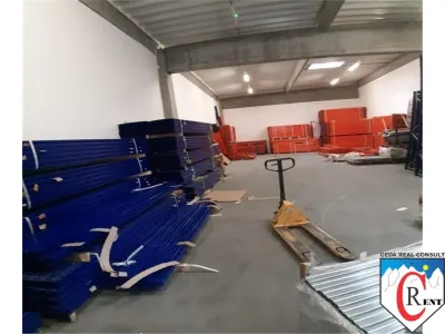 Spațiu industrial Afumați - poza 2