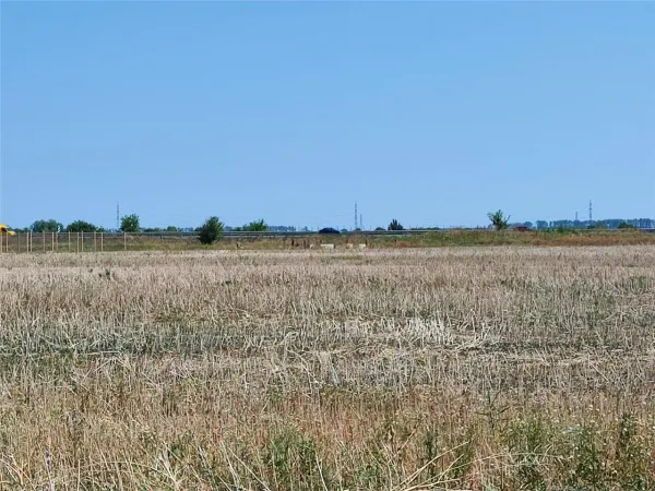 Teren Ștefăneștii de Jos - poza 3