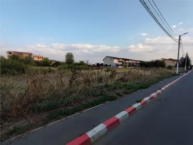 Teren Voluntari - poza 4