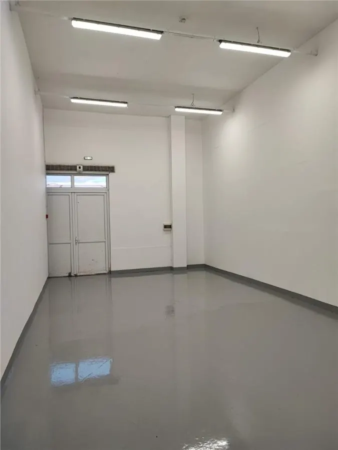 Spațiu industrial Afumați - poza 1