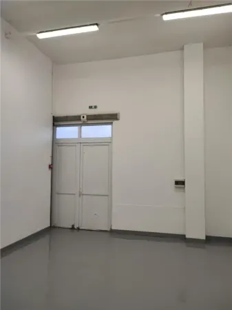 Spațiu industrial Afumați - poza 8