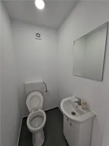 Spațiu industrial Ștefăneștii de Jos - poza 4