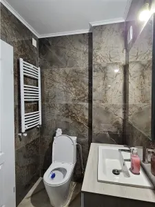 Casă 7 camere Sibiu - poza 10