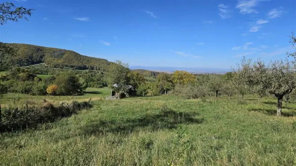 Teren Saliste - poza 1