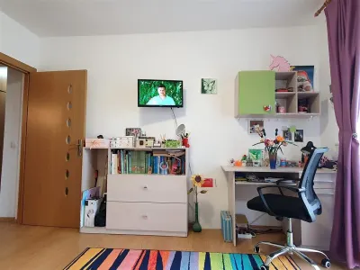 Apartament 3 camere Sibiu - poza 16
