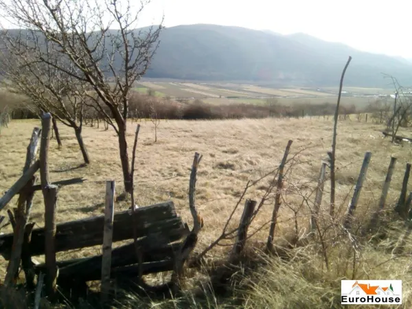 Teren Șard - poza 1