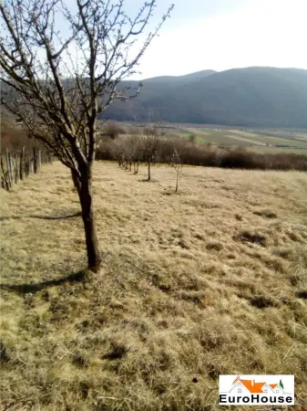 Teren Șard - poza 2