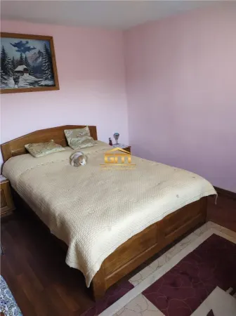 Casă 9 camere Golești - poza 14
