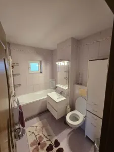 Apartament 3 camere Timișoara - poza 6