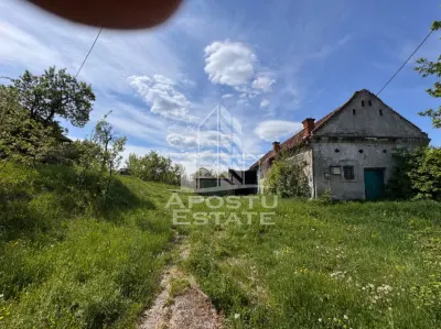 Teren Hunedoara - poza 8