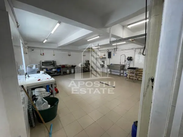 Spațiu comercial Timișoara - poza 1